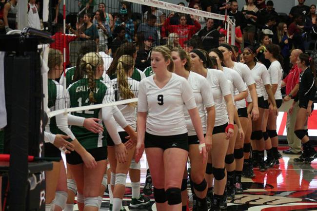 The CSUN women's volleyball team will play against the Cal Poly Mustangs this Friday, Oct. 10, 2014. File Photo/ The Sundial
