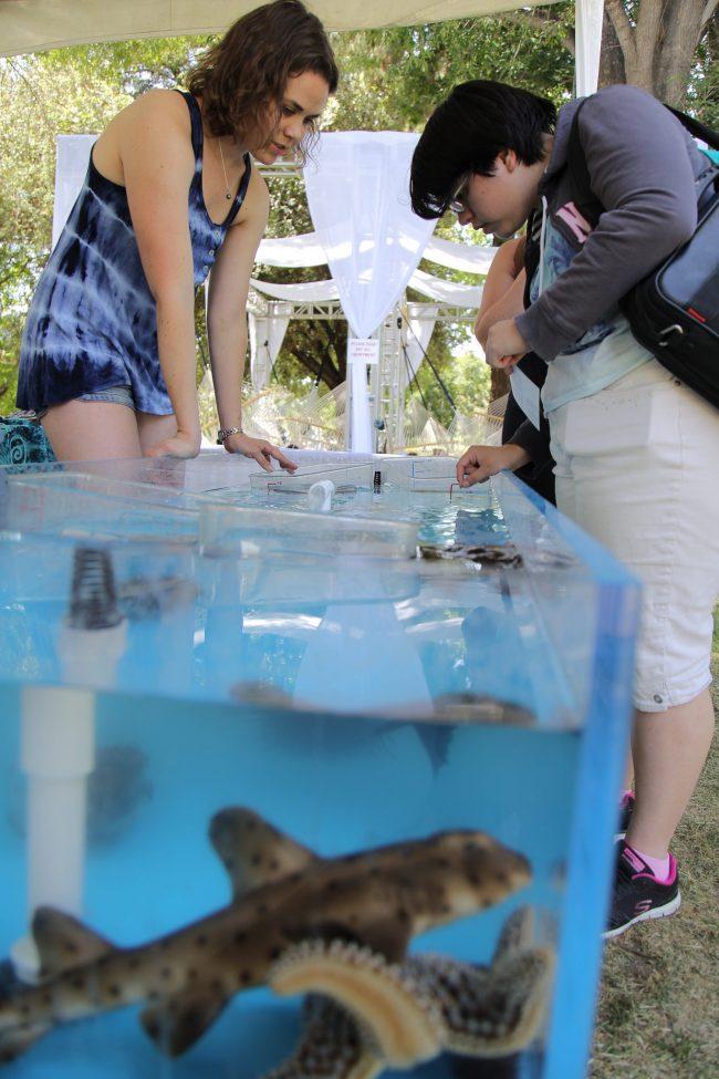 Graduate student Zoe Scott, majoring in ecology & evolution, informs Junior, Vaentina Moreno, about the animals in the tank water tank.  (Magaly Barajas / The Sundial) 
