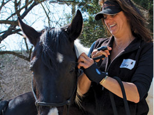Program teaches communication and life lessons through interaction with horses