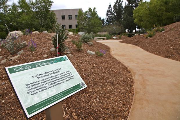 CSUN's Southern California Ecoregion Demonstration Garden located by the Transit Center on Prairie Street. Photo credit: Brita Potenza / Daily Sundial
