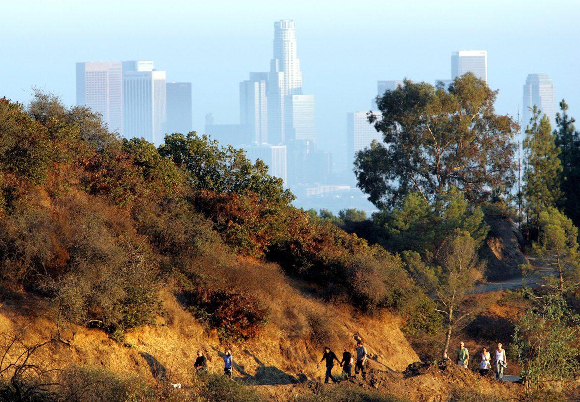 Griffith park offers great views of LA and some of the best hiking trails in town. Photo courtesy of MCT