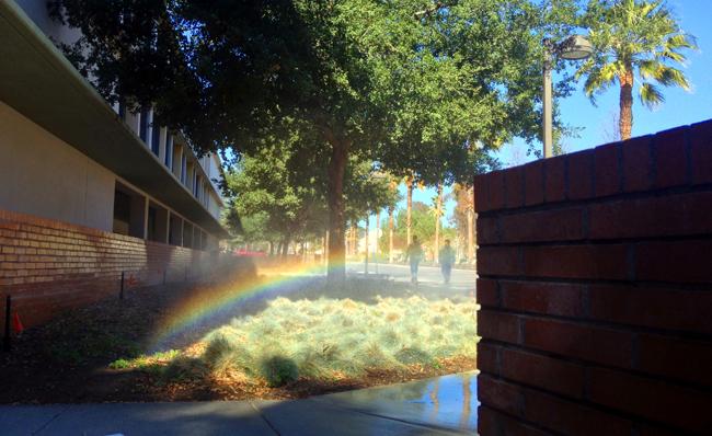 PPM+tests+sprinklers+outside+the+B5+parking+lot.++CSUN+is+working+on+new+innitiatives+to+conserve+water%2C+including+a+learning+living+community+in+the+dorms+starting+next+fall.+%28Photo+Credit%3A+Ken+Scarboro%2FSenior+Photographer%29