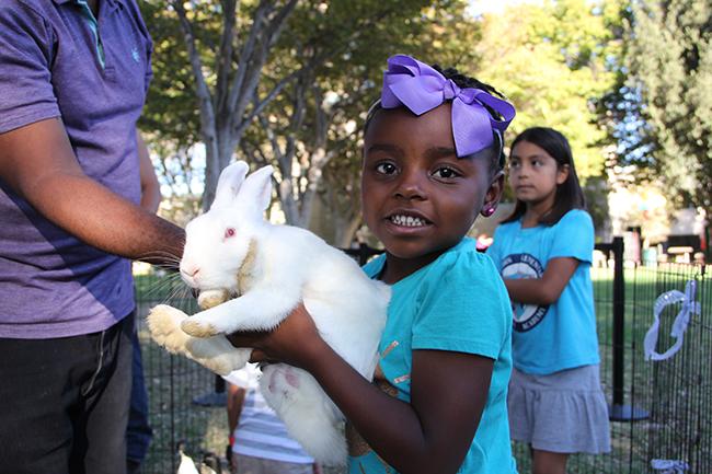 The Family Fun Zone on Sept. 26 welcomes children of CSUN staff and students. Face painting, a animal petting station, food, and games were offered to everyone who attended. Mia, 5, held the bunny with the help of her dad. Photo Credit: Victoria Lopez/Contributor