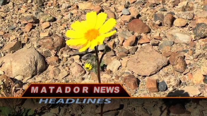 CSUN Matador News - February 24, 2016 - YouTube