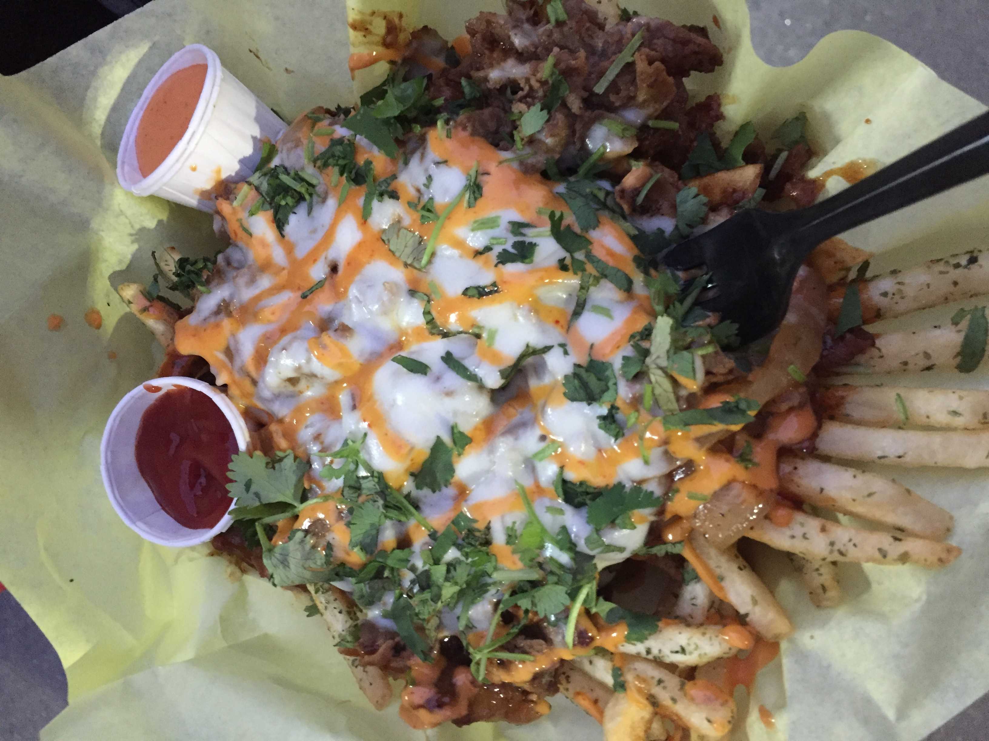 Fries pictured loaded with sauces and sour cream