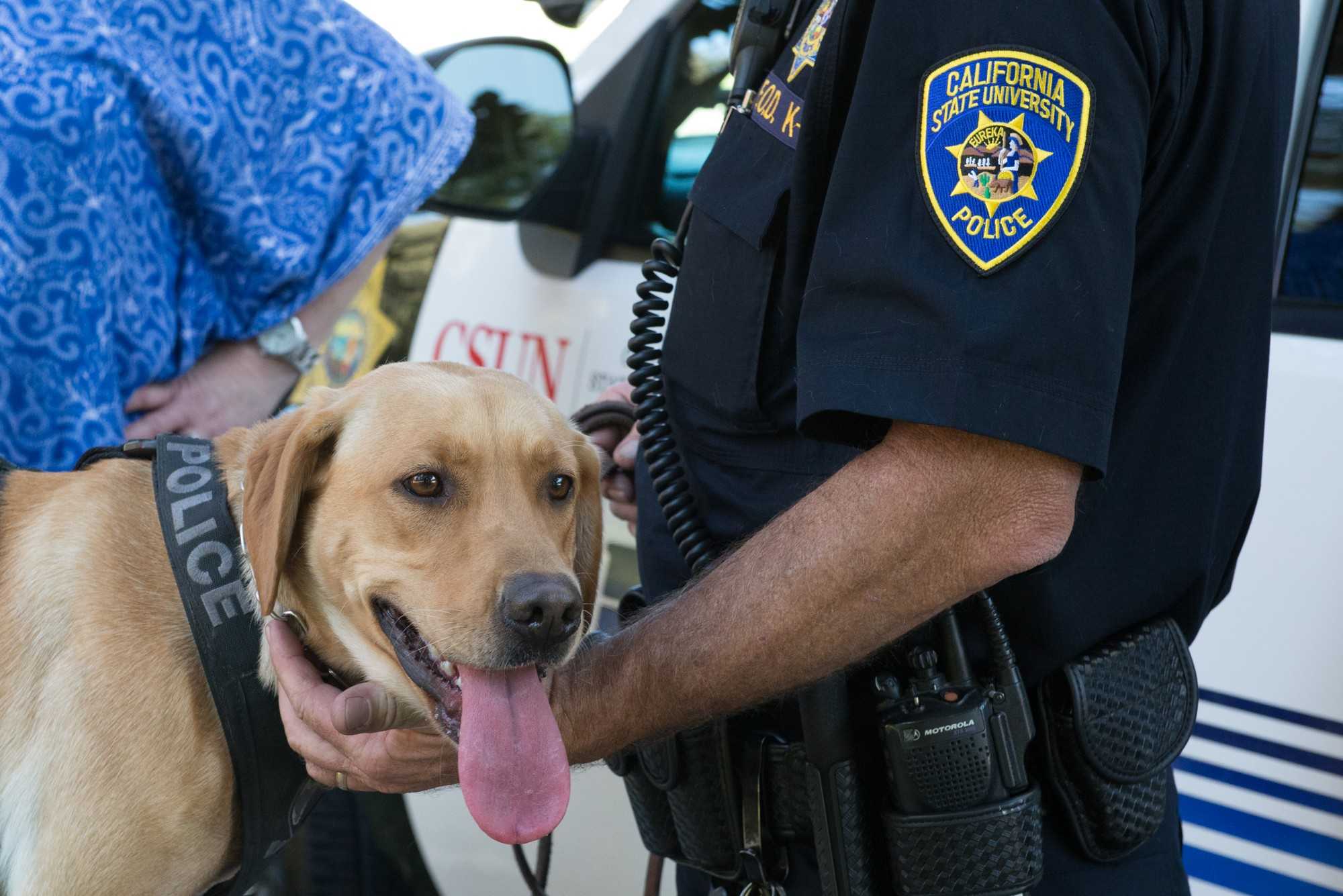 Police+dog+shown+grinning