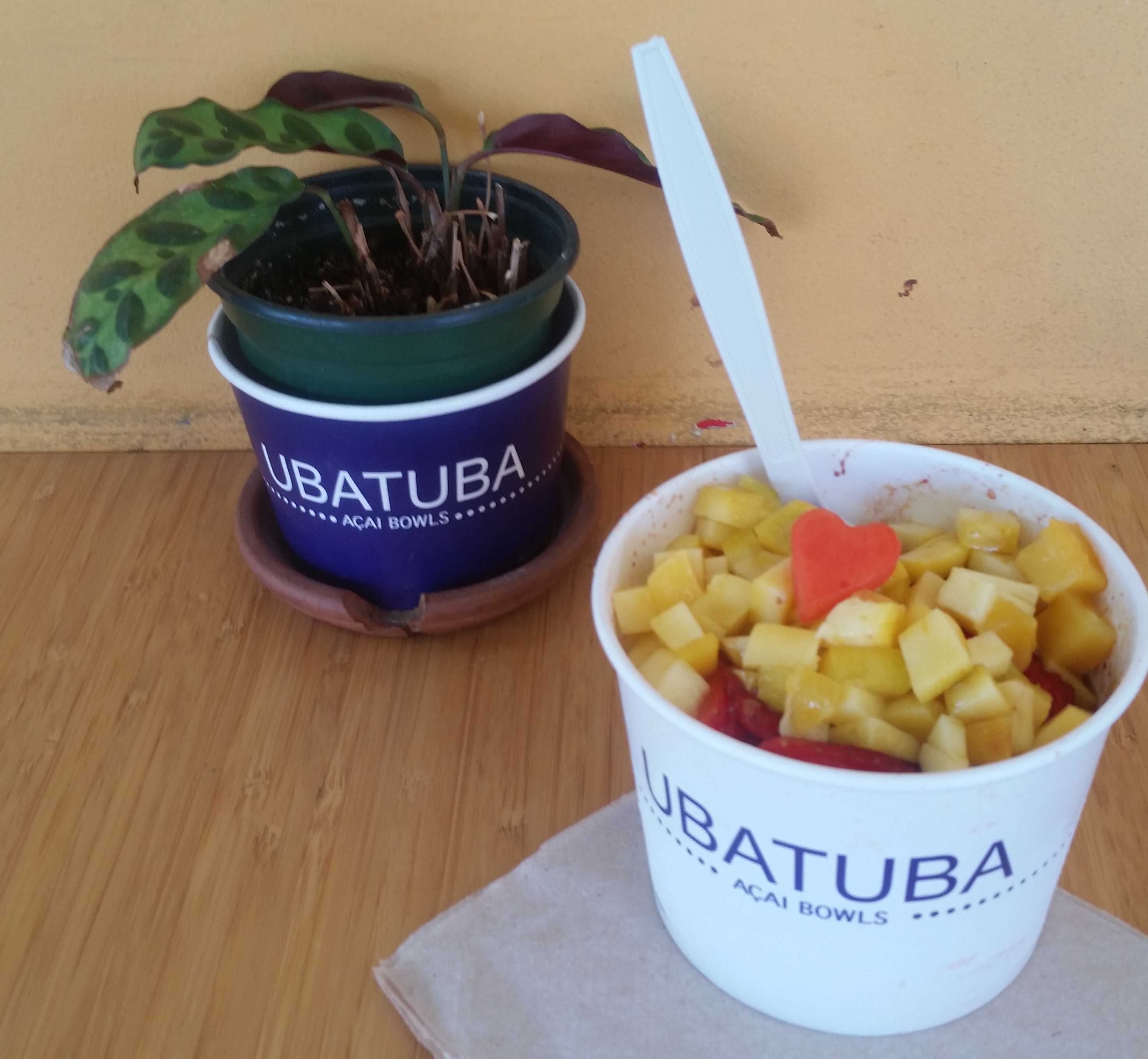 One of Ubatuba's acai bowls garnished with toppings. Photo credit: Donna Lugo