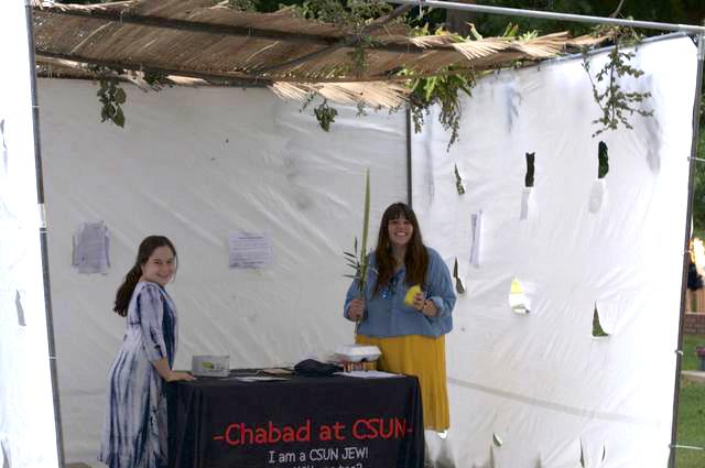 CSUN alumna, Sandra Bram holding the lulav and etrog. As well as, the Rabbi's daughter, Mushka Brooke underneath the sukkah. Photo credit: Lauren Turner Dunn