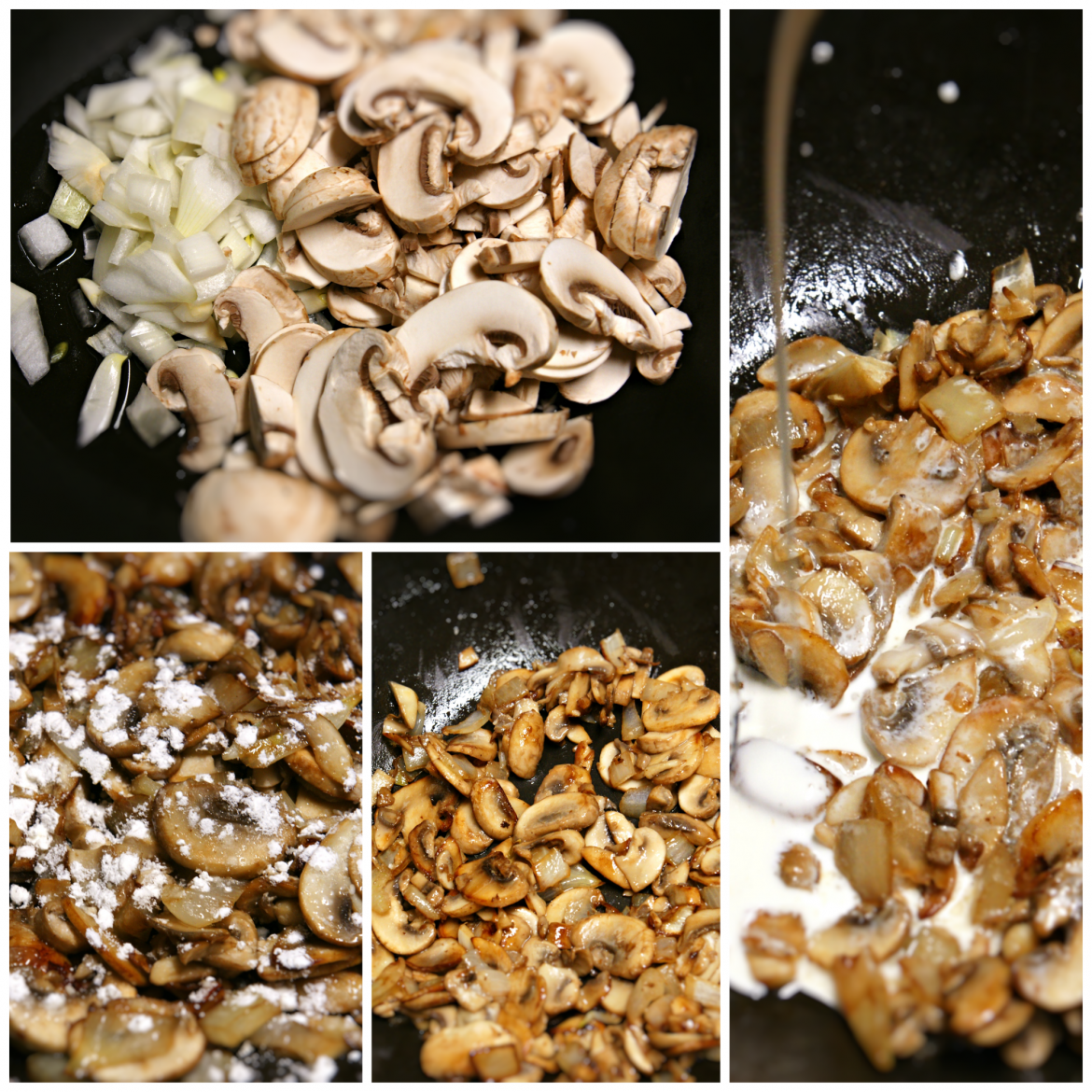 mushroom collage.png