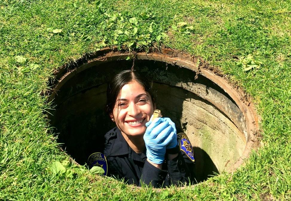 female police officer happily stands in sewer with baby duck in her hands