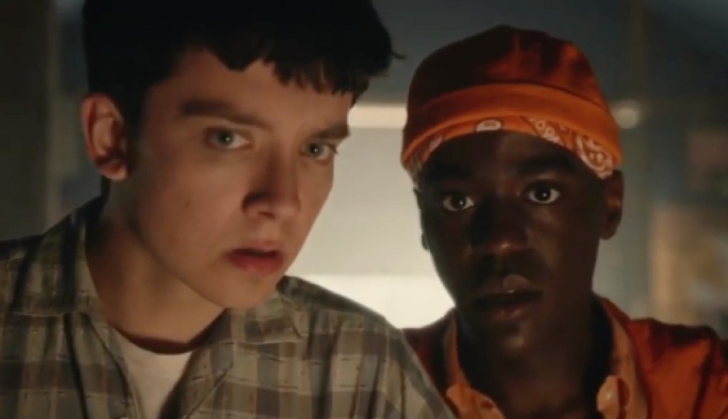 A picture of a white boy and an African American boy
