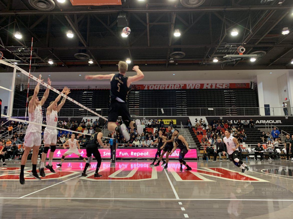 A Long Beach State Volleyball player trying to score