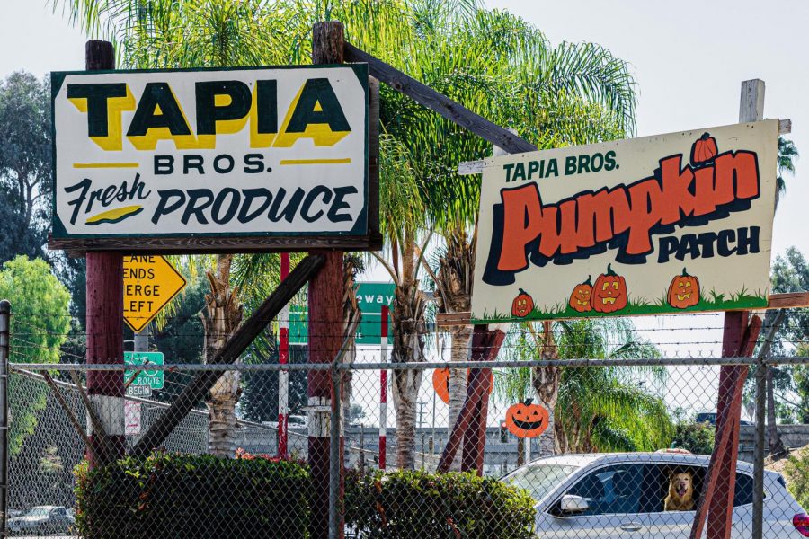 Billboards of Tapia Brothers Fresh Produce and Pumpkin Patch in Encino, Calif., on Thursday, Oct. 29, 2020.