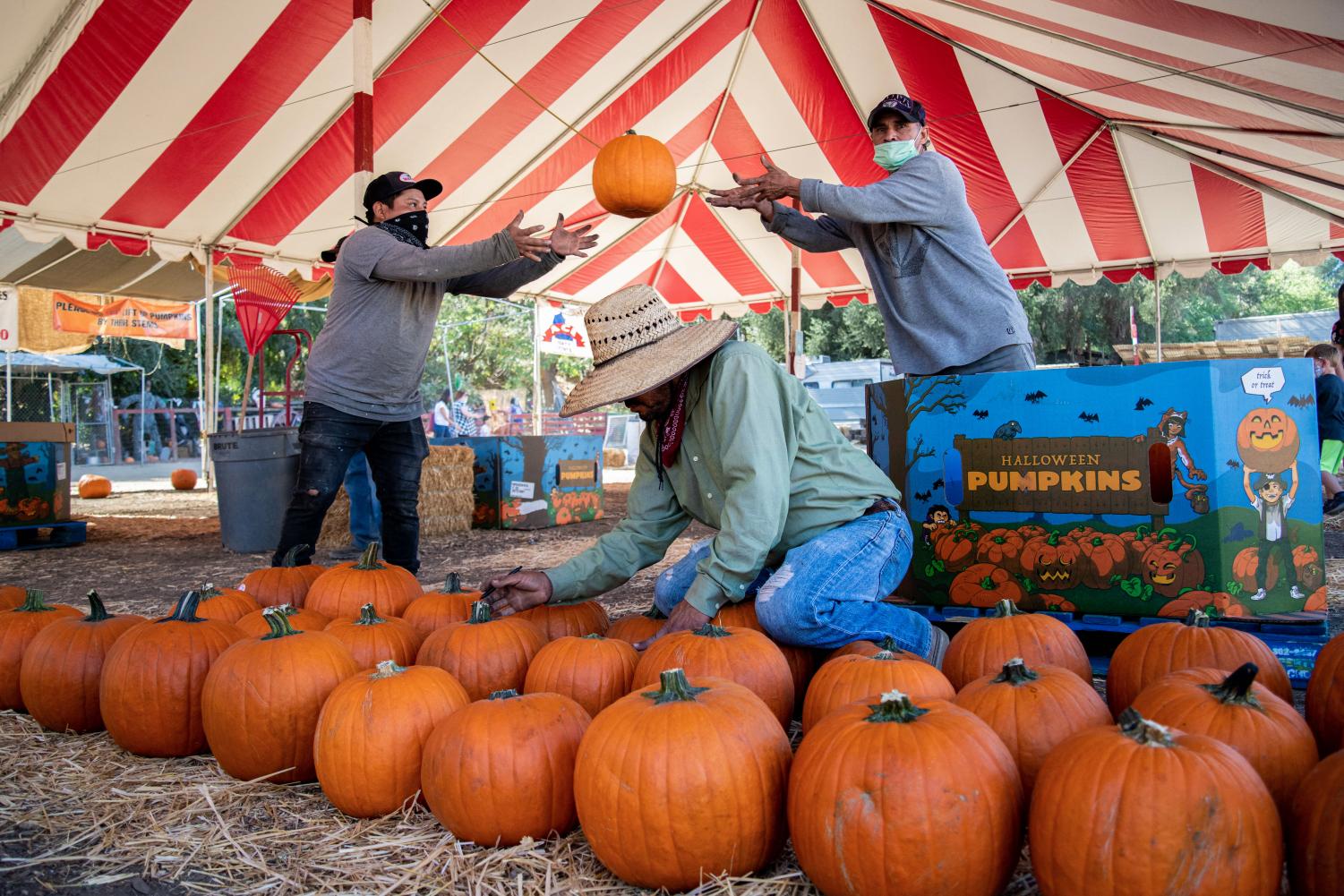 Business as (un)usual Tapia Brothers Farms Daily Sundial