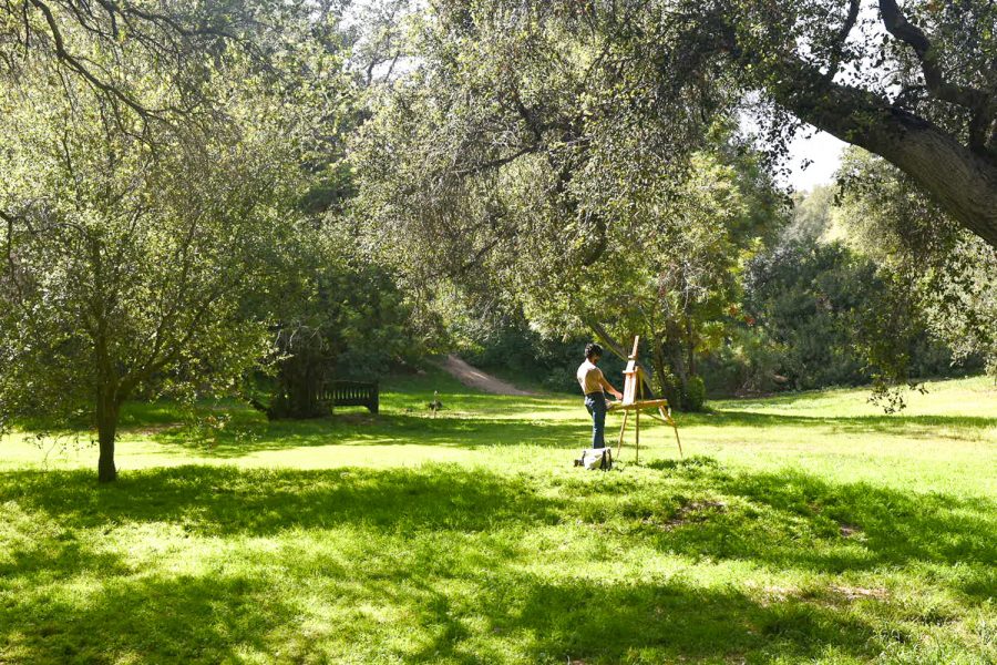 The Camellia Forest provides a scenic and peaceful location for painting or reflecting. The Camellia Forest peak bloom season is typically in January through February.