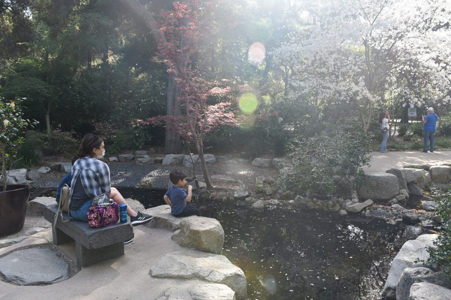 Visitors enjoy the Japanese-style garden on Monday, April. 5, 2021. The Japanese Garden reflects local history as well as timeless beauty.
