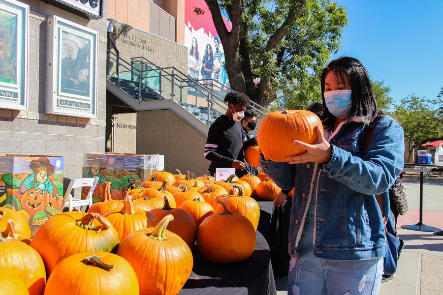 Students pick up pumpkins provided by Associated Students at the 7th annual Pumpkin Fest at CSUN in Northridge, Calif. on Tuesday, Oct. 12, 2021,