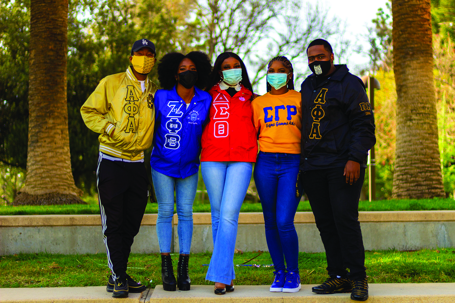 Why Black sororities and fraternities of the Divine Nine say they