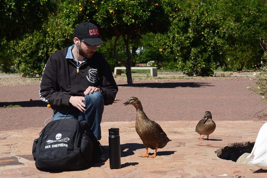 CSUN junior Nicholas Serras interacts with a duck at the Duck Pond on March 9, 2022, in Northridge, Calif.