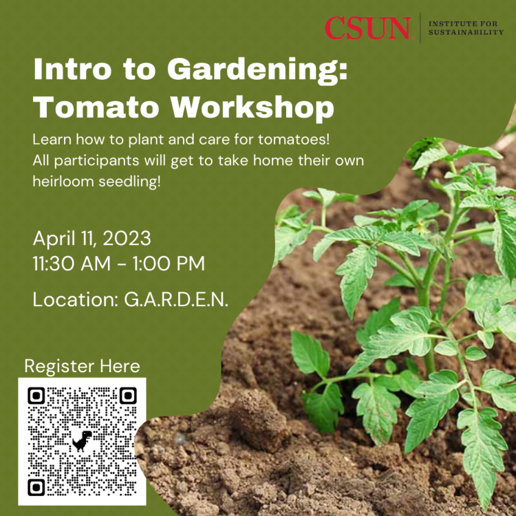 A flyer of "Intro to Gardening Tomato Workshop", On April 11, 2023, from 11:30 am to 1:00 pm at the GARDEN