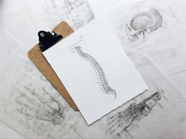 Why Future Healthcare Professionals Should Focus on Innovations in Spine Treatments