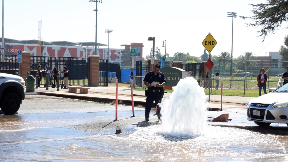 Water gushing from fire hydrant after vehicle collision caused by police pursuit