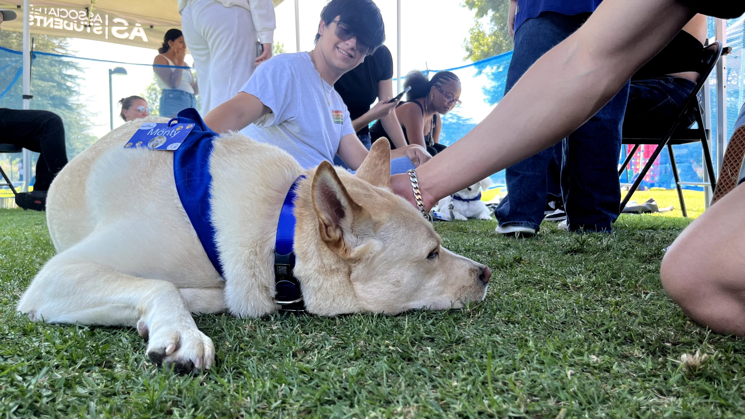 Students petting Monty, one of the dogs from Paws-to-share.