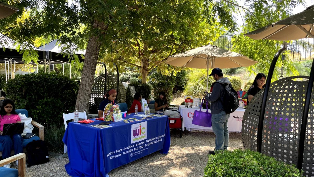 CSUN students checking out the resources available to them at the Welcome to Wellness event hosted by the Oasis Wellness Center. 