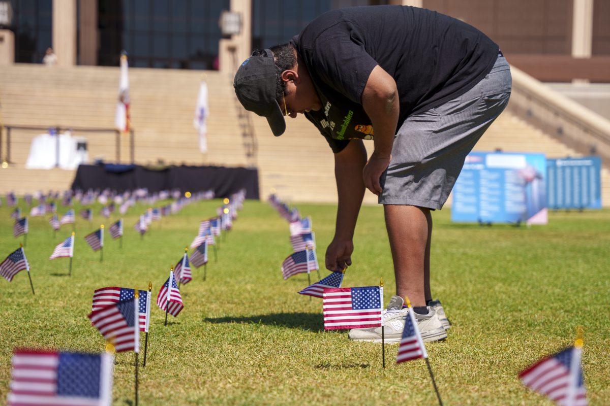 A CSUN student places American flags on the Library Lawn in honor of fallen veterans. Thursday Sept. 11, 2024, Northridge, Calif. Photo by Solomon O. Smith