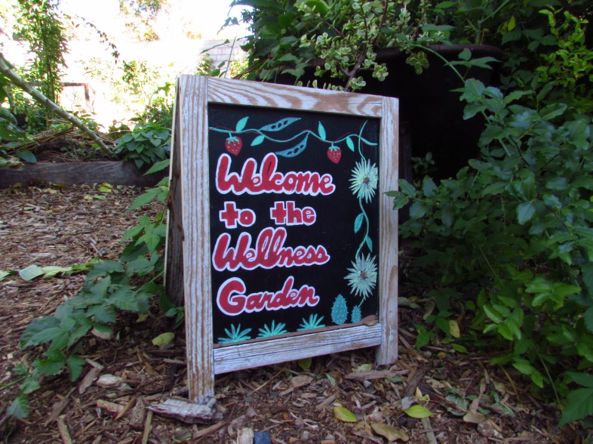 Welcome sign at the entrance of one of the two areas in the Marilyn Magaram Wellness Garden in the Sequoia Hall Courtyard on the CSUN campus on Wednesday, November 20, 2024.