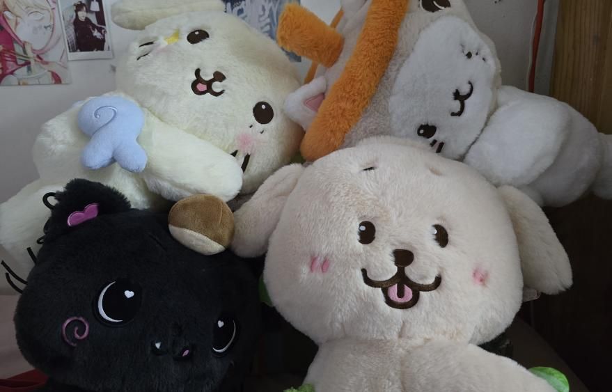 Pamela Escobar's stuffed animals.