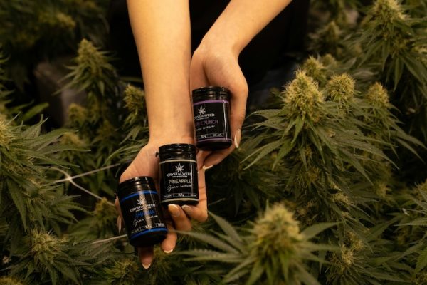 THCA Pounds: A Bulk Buying Companion for Retailers