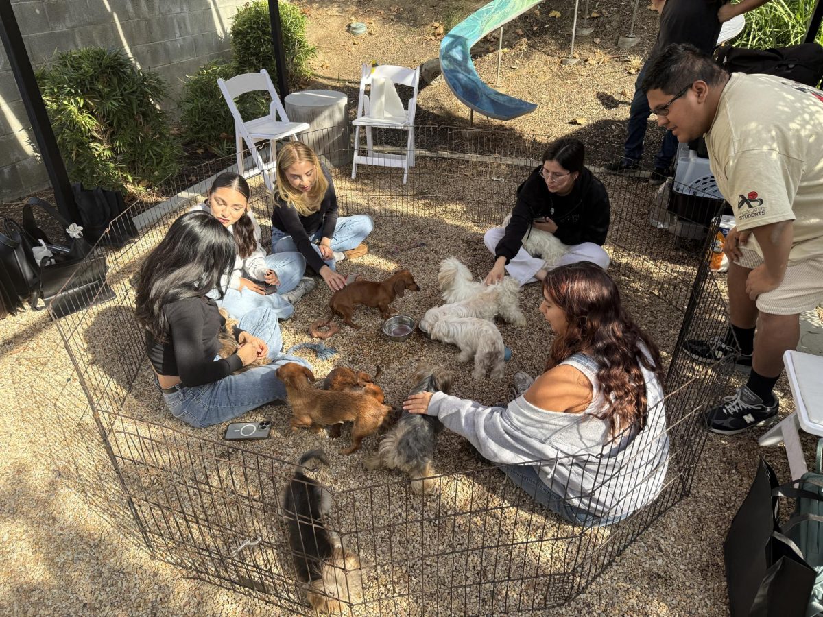 Students enjoy the company of puppies, running around and embracing them on the Nov. 5, 2025, on CSUN's campus in Northridge, Calif.