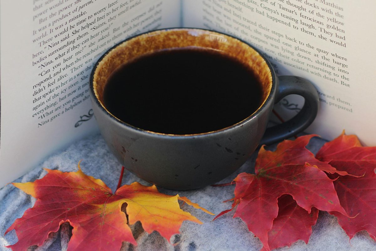 Photo by Elin Melaas via Unsplash