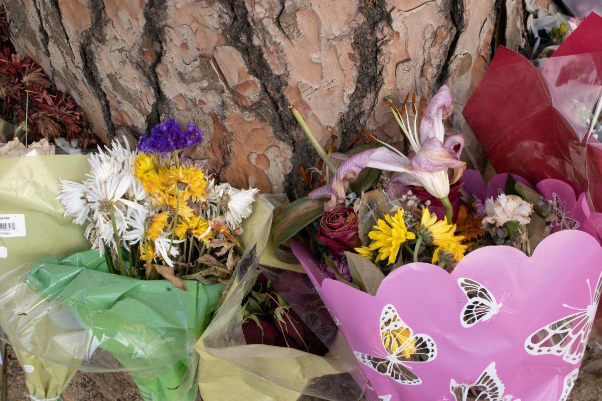 ErkFiiOnT8aj9kTdP9H4MLAQg3rhlyyofjRellVV