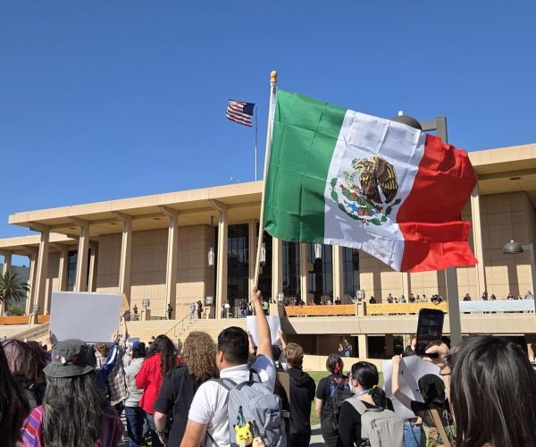 Un estudiante ondea con orgullo la bandera de México durante la protesta en CSUN contra las redadas migratorias.