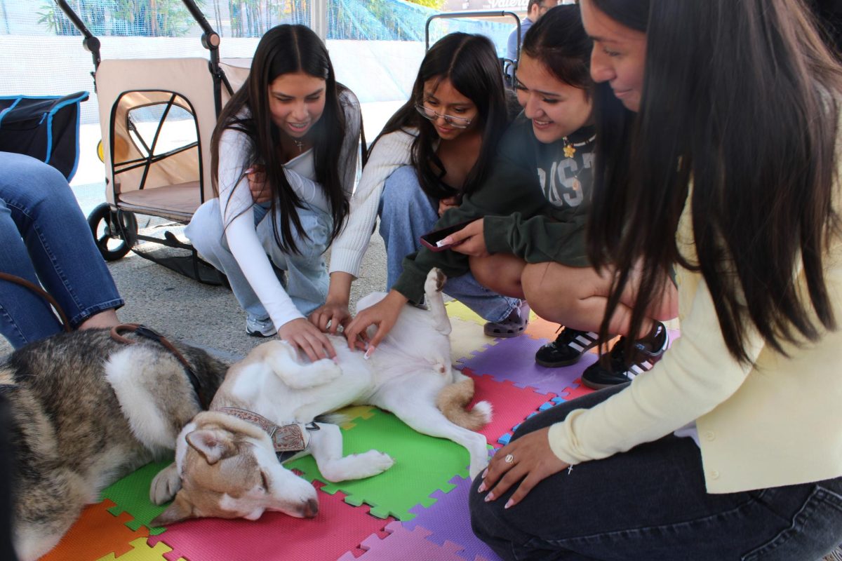 From left, Valeria Murgiua, Tiffany Sanchez, Layla Vargas and Yami Flores laugh as they pet one of the huskies at the Paws-for-Share tent at the Your Journey Matters event on March 11. The Blues Project organized the event as a kickoff to their 2026 wellness week, which will focus on suicide prevention. 