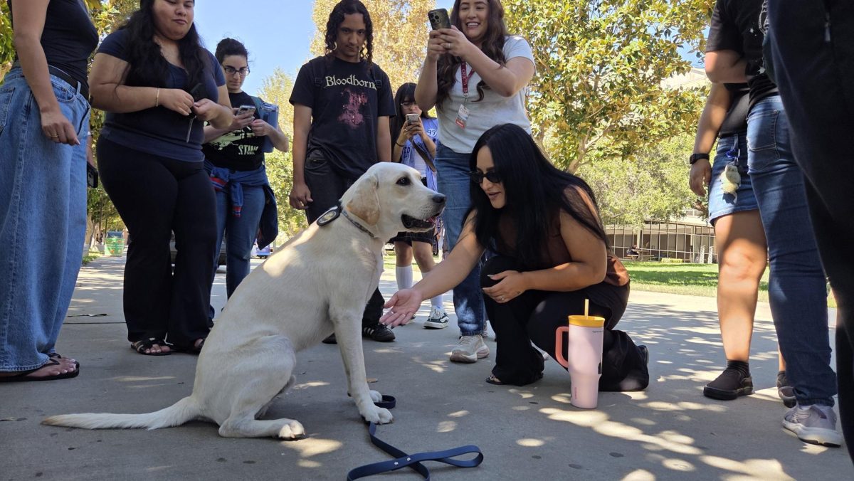 Los asistentes convivieron y se fotografiaron con Sunny, el perro de terapia de CSUN.